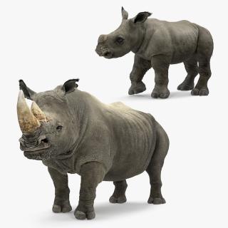 3D Rhinos with Fur Collection