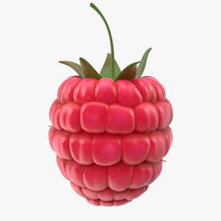 3D Fresh Cartoon Raspberry model