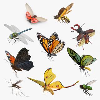 Flying Insects Collection 5 3D