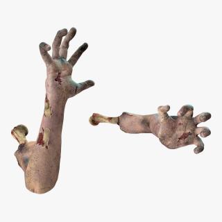 3D model Bloody Zombie Arms Rigged