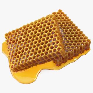 3D model Fresh Cut Honeycombs