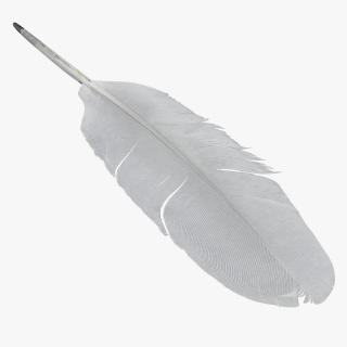 White Goose Feather 3D model