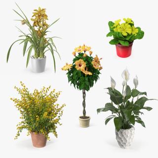 Flower Pots Collection 7 3D model