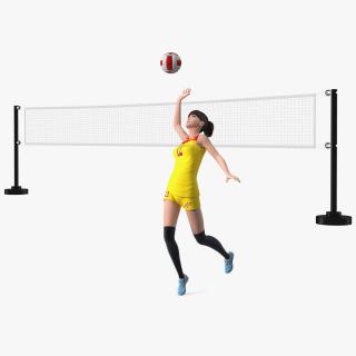 3D Rigged Chinese Woman Player with Volleyball Net Collection model