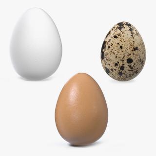 3D model Eggs 3D Models Collection