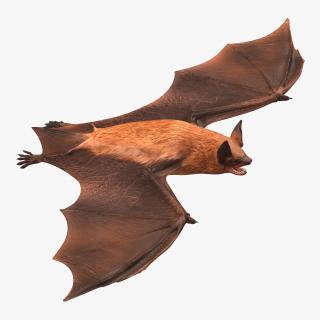 Bat 3D model