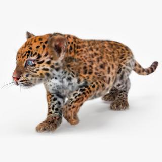 Leopard Cub Sneaking Pose with Fur 3D model