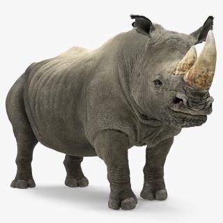 Rhino Adult Standing Pose Fur 3D model