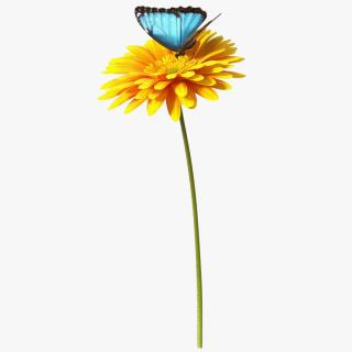 Yellow Gerbera Flower with Emperor Butterfly 3D model