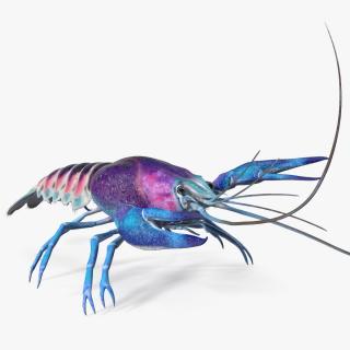 3D model Blue Crayfish Rigged