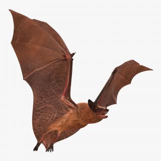 3D model Flying Bat