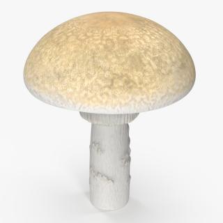 Toadstool 3D model