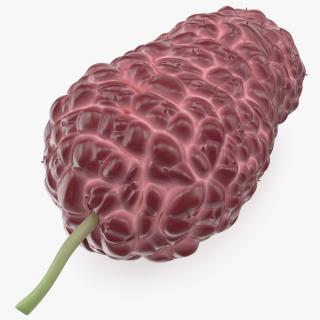 Mulberry Fruit Pink 3D model