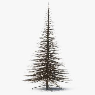 3D model Light Tree