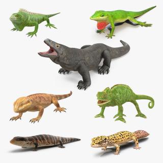 3D model Lizards Collection 3