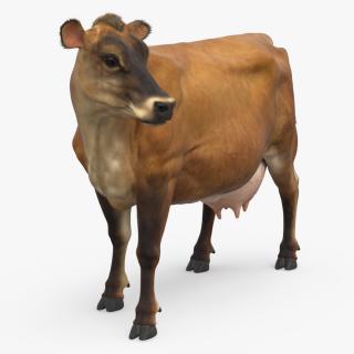 3D Channel Island Cow Brown Fur model