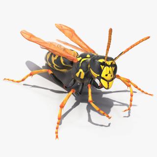 3D model Wasp Fur Rigged