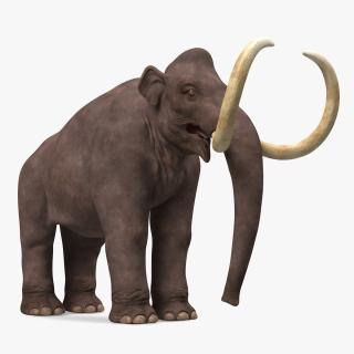 3D model Mammoth Adult Rigged