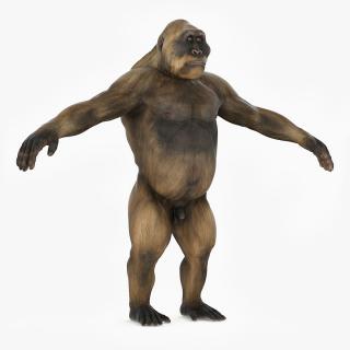 3D model Big Ape Gigantopithecus A-Pose