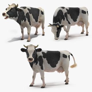 3D Animated Cow Collection model