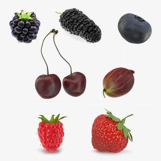 3D model Berries Collection 2