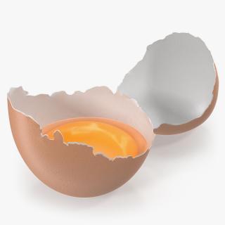 Broken Chicken Egg Shell 3D model