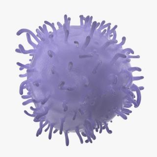 3D model Lymphocyte