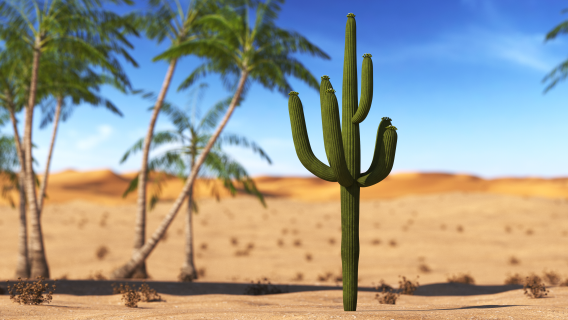 3D model Giant Saguaro Cactus