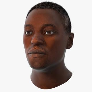 Handsome African American Male Head Rigged 3D