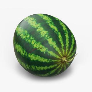 3D model Round Stripped Watermelon