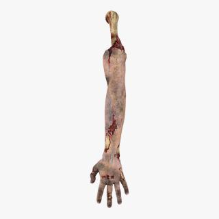 3D Zombie Hand