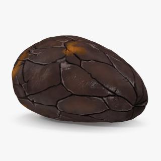 3D Peeled Roasted Cacao Cocoa Bean