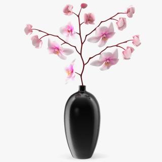 3D model Black Vase with Phalaenopsis Orchid