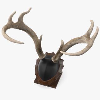 Tabletop Stand with Stag Antlers 3D