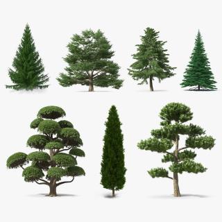 3D Evergreen Trees Collection 4 model