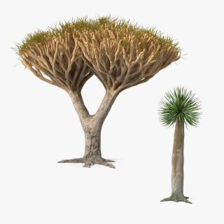 3D Dragon Trees Collection model