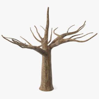 3D Morus Tree Trunk