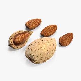 3D Almonds Collection model