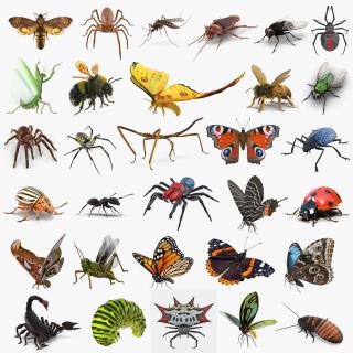 3D Insects Big Rigged Collection 3