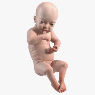 3D Baby Boy at 8 Month Rigged