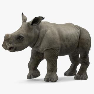 3D Rhino Baby Standing Pose Fur model