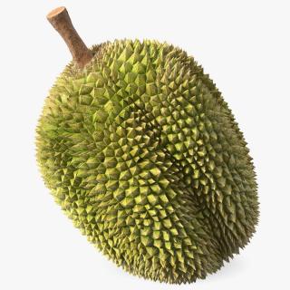 Ripe Durian Fruit 3D