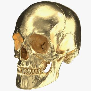 Female Human Skull Gold Metal 3D model