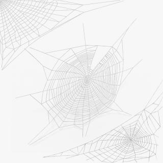 Spider Webs Collection 3D