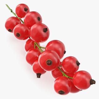 Red Currant Cluster 3D model