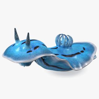 3D model Blue Sea Slug Rigged