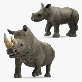 Rigged Rhinos Collection 3D model