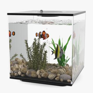 Aquarium Cube Black 3D model