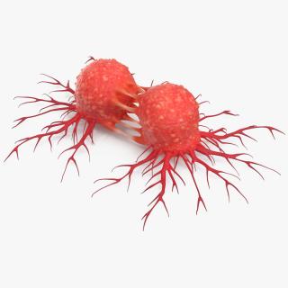 Dividing Tumor Cells Red 3D model