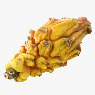 3D Yellow Dragonfruit model